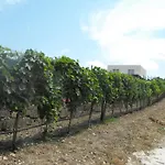 Agriturismoeloropizzuta Apartamento Lido di Noto