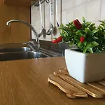 Apartamento Agriturismoeloropizzuta *