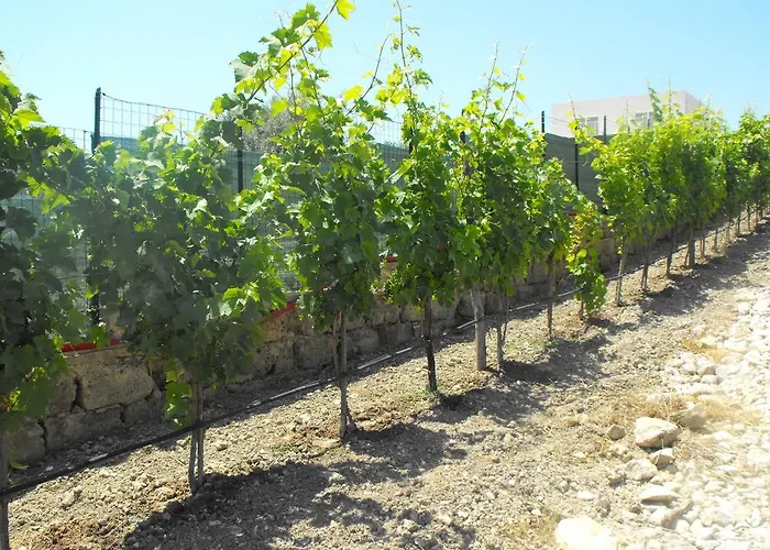 Agriturismoeloropizzuta Appartamento *