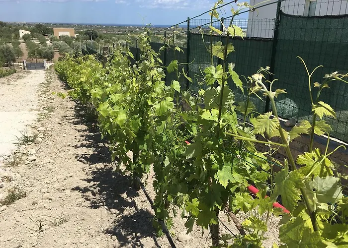 Appartamento Agriturismoeloropizzuta