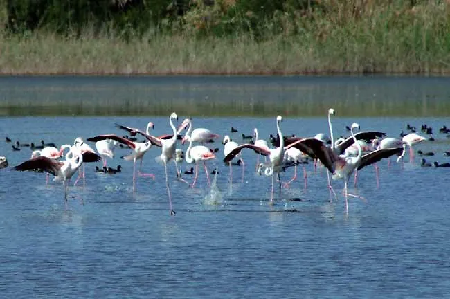 Agriturismoeloropizzuta Appartamento Lido di Noto